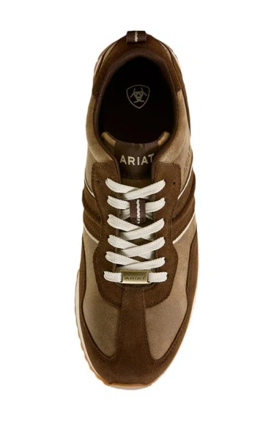 Ariat Ranch Runner Shoe In Brown