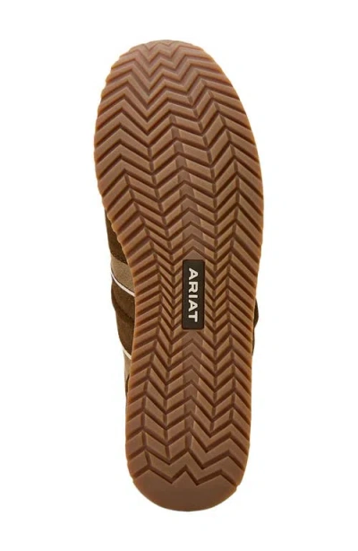 Ariat Ranch Runner Shoe In Brown