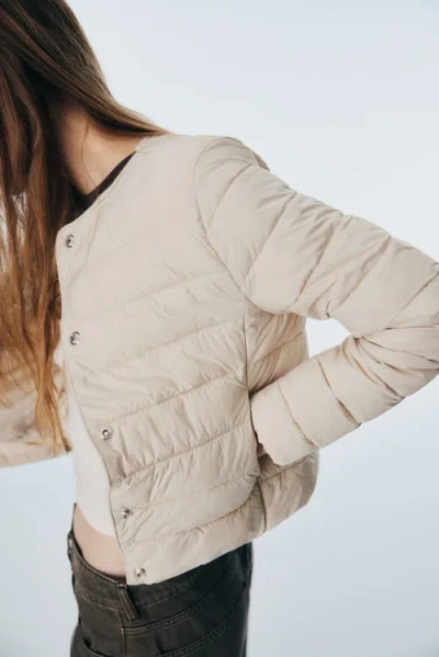 H&m Quilted Jacket In Brown