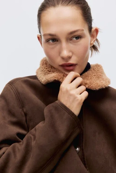 H&m Teddy-collared Jacket In Brown