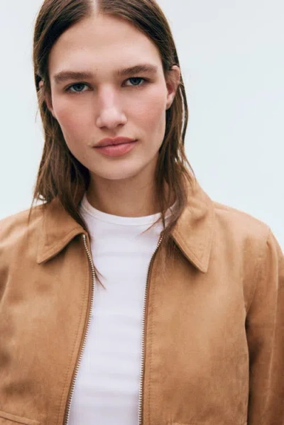 H&m Collared Bomber Jacket In Brown