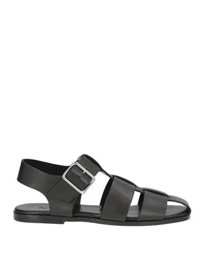 Aeyde Buckle Fastened Cut Out Sandals In Black