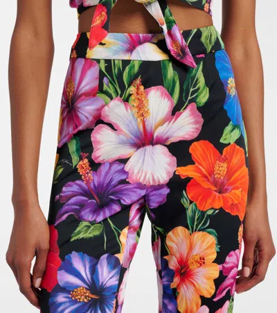 Dolce & Gabbana Floral Flared Pants In Multi