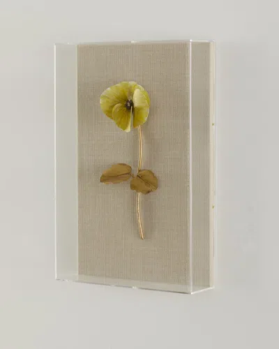 Tommy Mitchell Pansy Study 2 Wall Art In Multi