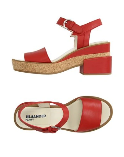 Jil Sander Navy In Red