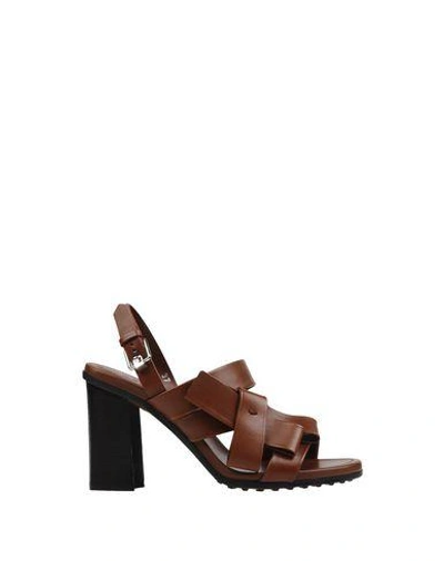 Tod's Sandals In Cocoa