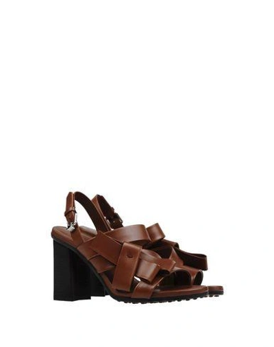 Tod's Sandals In Cocoa