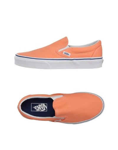 Shop Vans Sneakers In Apricot