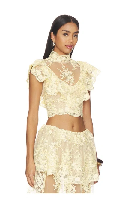 Stone Cold Fox X Revolve Celia Top In Neutral