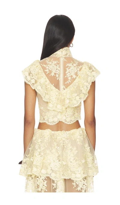Stone Cold Fox X Revolve Celia Top In Neutral