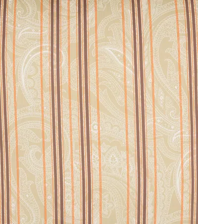 Etro Amalia Pillowcase In Brown