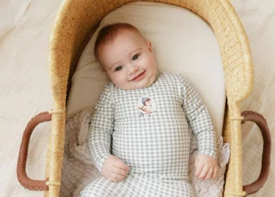 Ely's & Co. Gingham Owl Collection In Multi