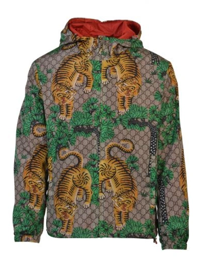 Gucci Tiger Print Nylon Jacquard Gg Jacket In Multi | ModeSens
