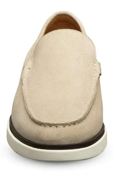 Allen Edmonds Carson Loafer In Neutral