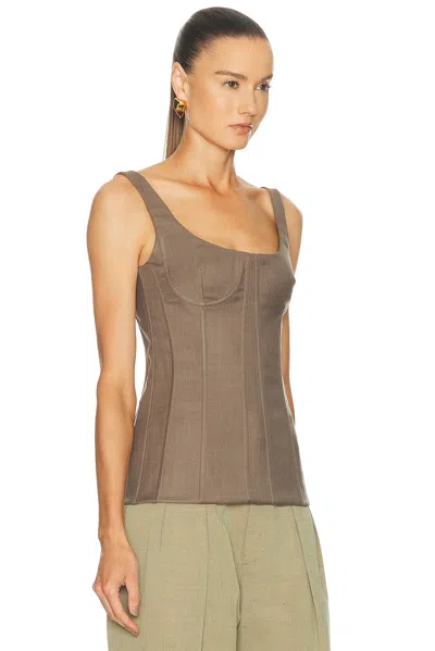 Monse Corset Top In Brown