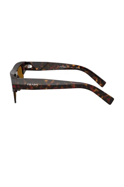 Prada Rectangular Sunglasses In Brown