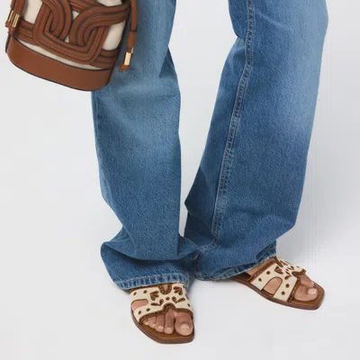 Aldo Itsandal In Brown
