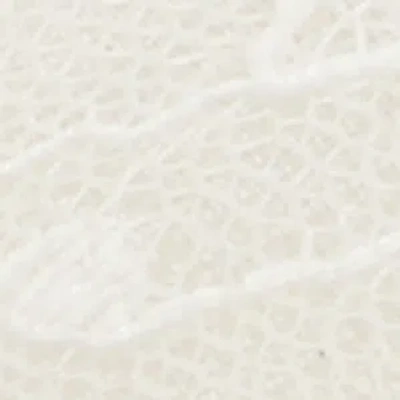 Aldo Azaro In White