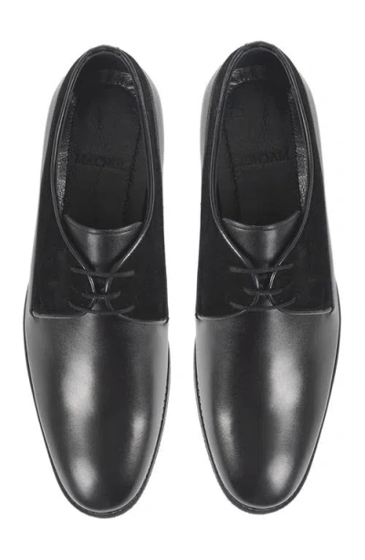 Macnola Nevada Derby In Black