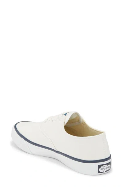 Sperry Classic Cvo Canvas Sneaker In White