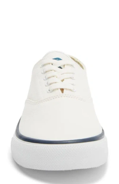 Sperry Classic Cvo Canvas Sneaker In White
