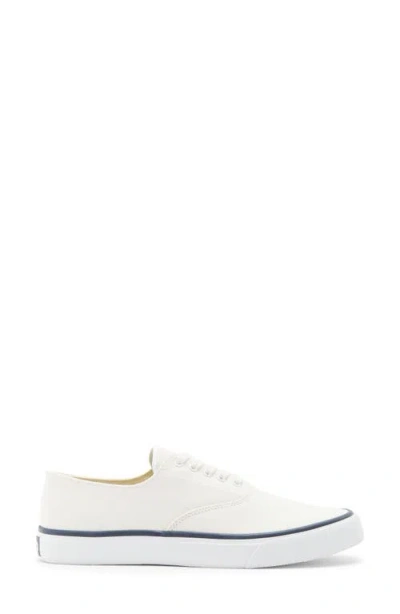 Sperry Classic Cvo Canvas Sneaker In White