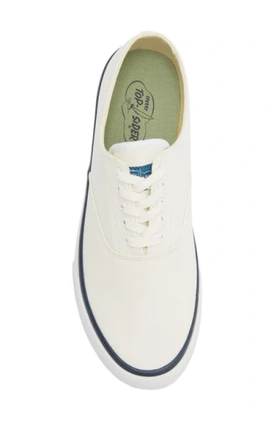 Sperry Classic Cvo Canvas Sneaker In White