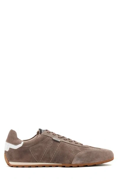 Allsaints Liam Sneaker In Brown