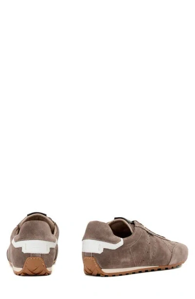 Allsaints Liam Sneaker In Brown
