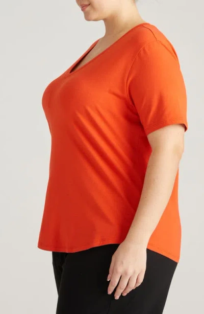 Universal Standard V-rex Tee In Orange
