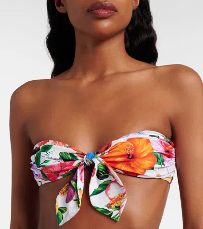 Dolce & Gabbana Floral Bikini In Multi