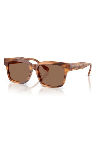 Tory Burch 55mm Rectangular Sunglasses In Brown