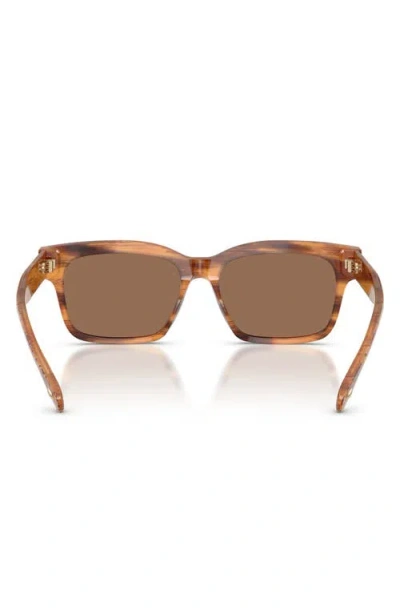 Tory Burch 55mm Rectangular Sunglasses In Brown