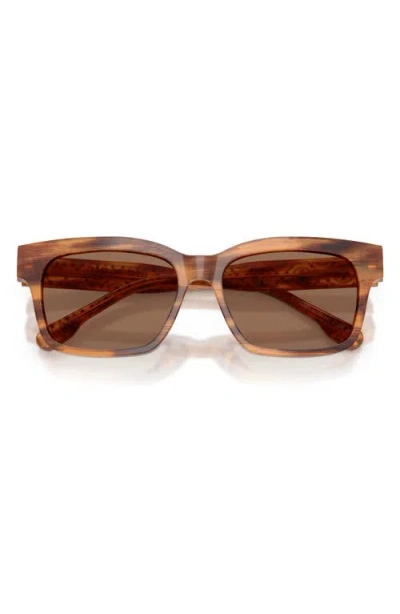 Tory Burch 55mm Rectangular Sunglasses In Brown
