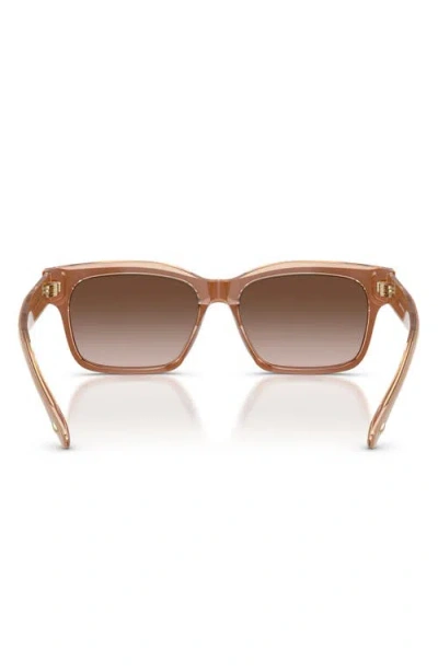 Tory Burch 55mm Rectangular Sunglasses In Brown
