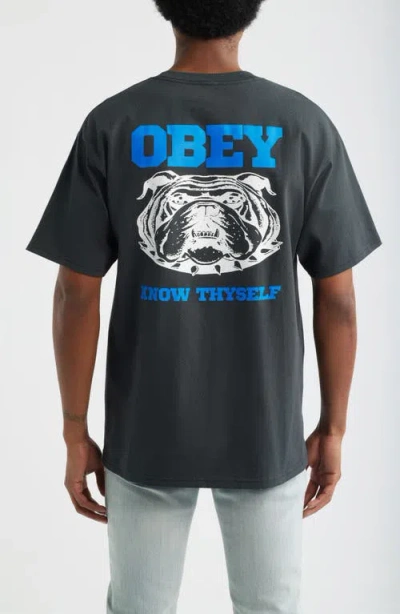 Obey Know Thyself Graphic T-shirt In Gray