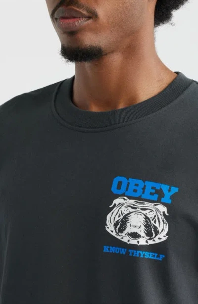 Obey Know Thyself Graphic T-shirt In Gray