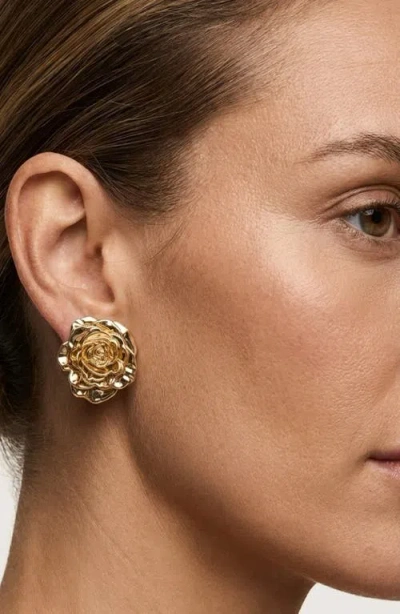Imber Rose Statement Stud Earrings In White
