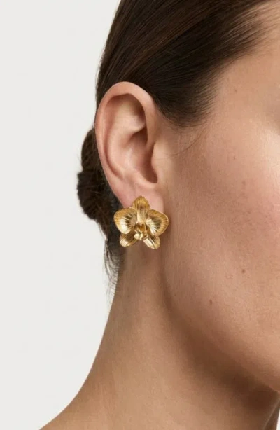 Imber Orchid Flower Statement Stud Earrings In White