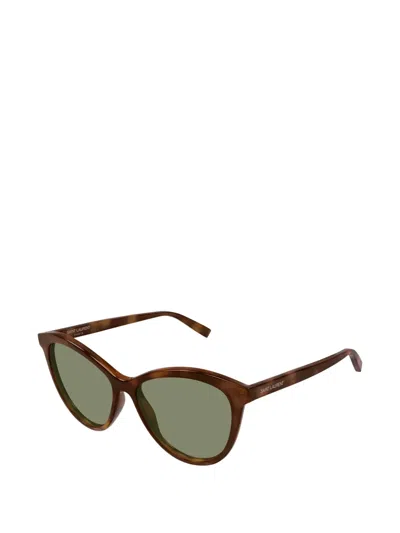 Saint Laurent Havana-havana-green Acetate Sunglasses In Brown