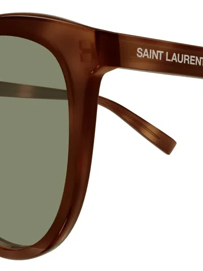 Saint Laurent Havana-havana-green Acetate Sunglasses In Brown