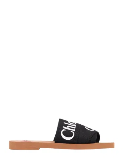 Chloé Woman Sandals Black Size 5 Polypropylene In Black