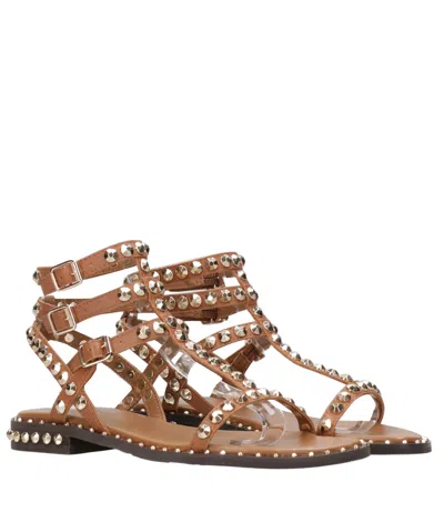Ash Sandals Cinnamon In Brown