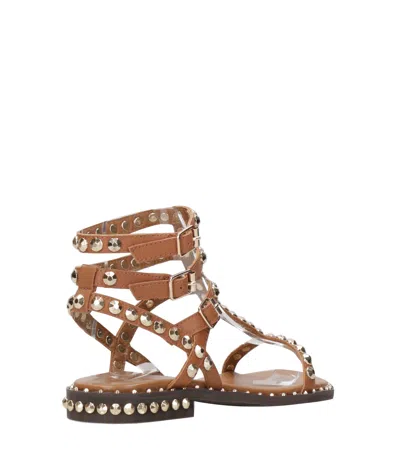 Ash Sandals Cinnamon In Brown