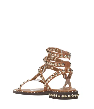 Ash Sandals Cinnamon In Brown