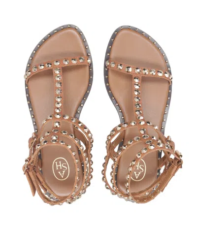 Ash Sandals Cinnamon In Brown