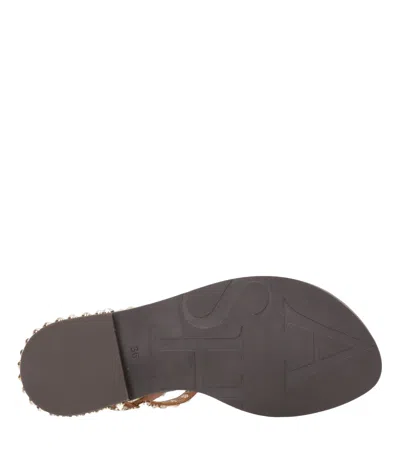 Ash Sandals Cinnamon In Brown
