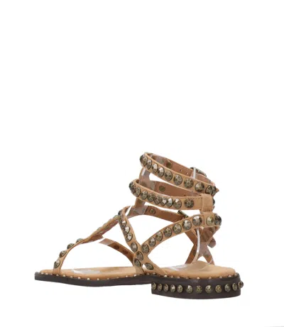 Ash Sandals Beige+bronze In Multi