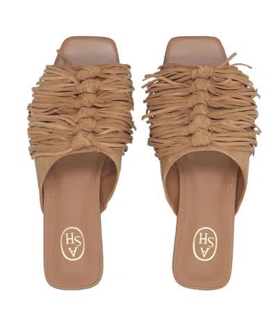 Ash Sandals Mocha In Brown