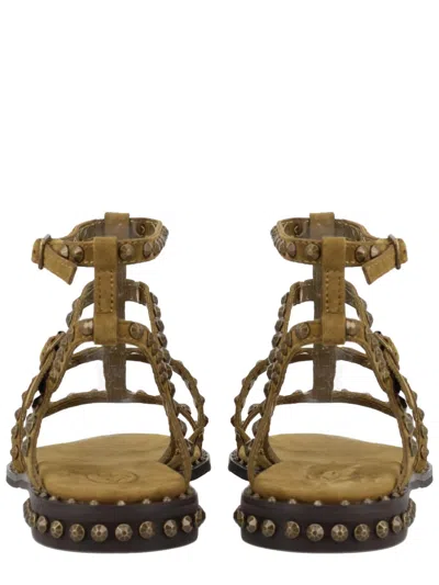 Ash Precious Stud-embellished Sandals In Brown